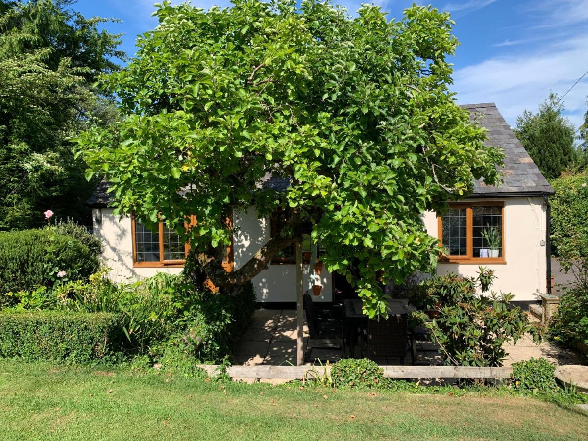 Newton Farmhouse Whiteparish Luaran gambar
