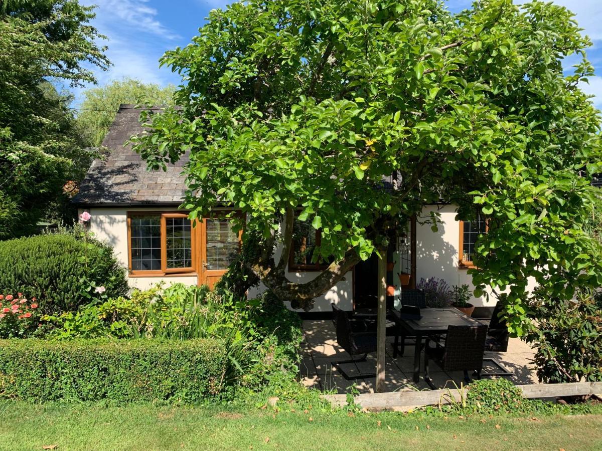 Newton Farmhouse Whiteparish Luaran gambar