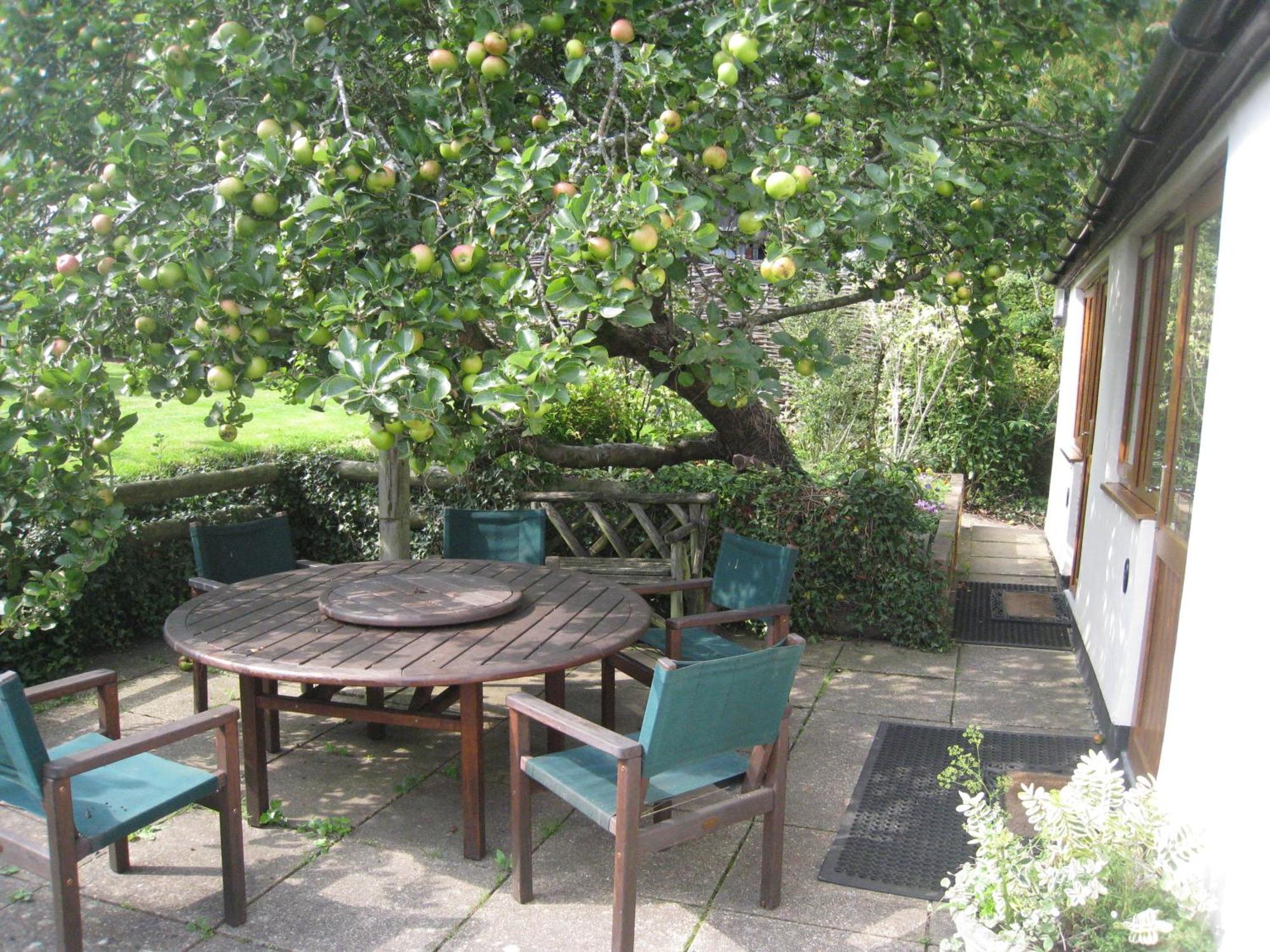 Newton Farmhouse Whiteparish Luaran gambar